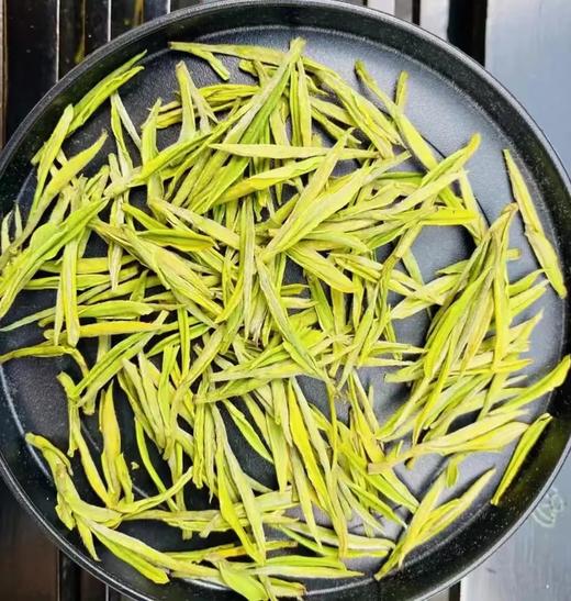 吾心之乡安吉白茶-自留 商品图9