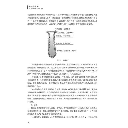 基础营养学/杨菊林/浙江大学出版社 商品图2