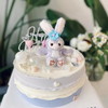 星黛兔 商品缩略图0