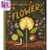 【中商原版】What's Inside A Flower？  花儿里的东西 英文原版 进口原版 4岁到8岁 精装 儿童科普图画书 Rachel Ignotofsky 商品缩略图4