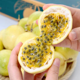 【口碑爆款】稀有品种 钦蜜9号黄金百香果 香甜多汁  香气十足   顺丰直达