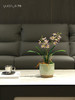 新中式高端兰花仿真花茶室客厅玄关摆设件餐桌花摆花茶几装饰花 商品缩略图4