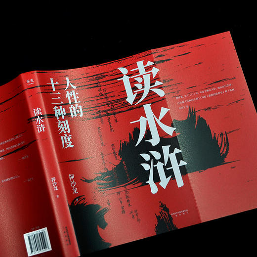 读水浒:人性的十三种刻度 商品图4