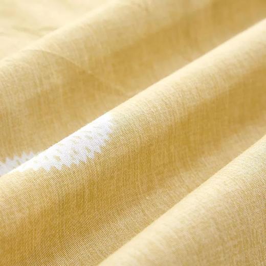 博洋 蓝韵 四件套 商品图5