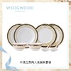 【6F】WEDGWOOD威基伍德丰饶之角两人食4盘2碗2汤勺餐具套组 商品缩略图0