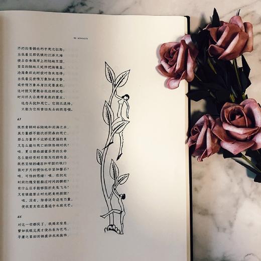 莎士比亚爱情诗集(插图珍藏版)(精) 商品图3