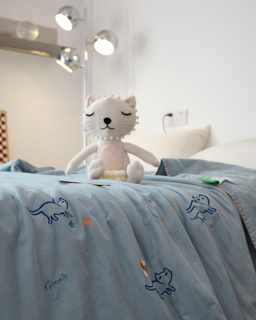 【下架】自然醒全棉卡通双层纱绣花抗菌夏被纯棉防螨可水洗夏凉被空调被子LB 商品图3