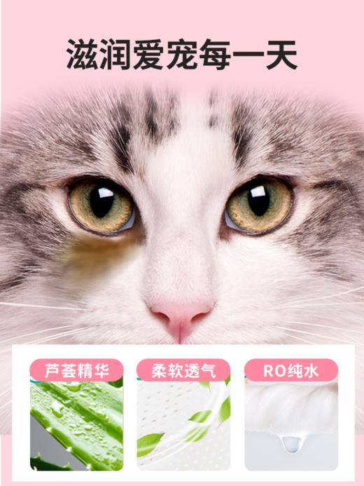 【积分商城】金多乐猫犬通用宠物眼部湿巾120片/盒*3盒 商品图3
