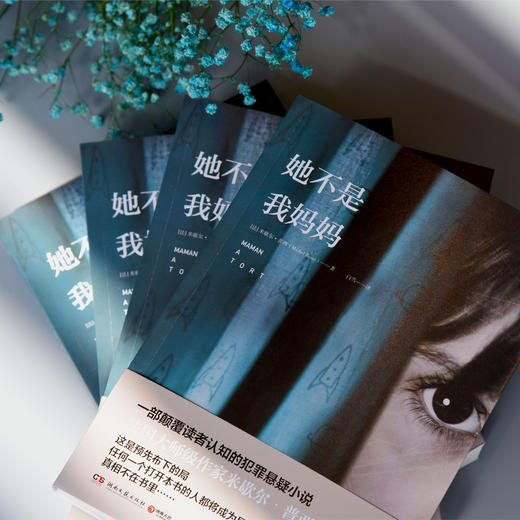 (仓发) 她不是我妈妈/湖南文艺出版社/米歇尔·普西/9787540485382 商品图2