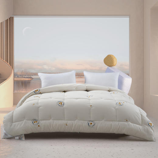 水星家纺  多效净醛大豆被  200*230cm 商品图0