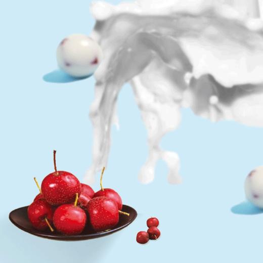 特怡诗红山飞雪酸奶山楂球110g（AA） 商品图3