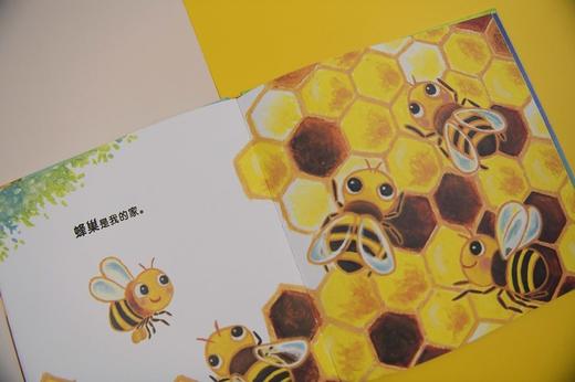 (仓发) 嗨！你的家在哪里？（魔法象·图画书王国）/广西师范大学出版社/林柏廷/9787559835215 商品图6