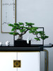 新中式仿真盆景观迎客松摆件玄关客厅酒店办公室酒店茶桌软装造景 商品缩略图4