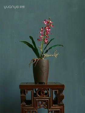 新中式兰花仿真花高档假花盆景客厅茶室前台酒店餐厅装饰花摆设件