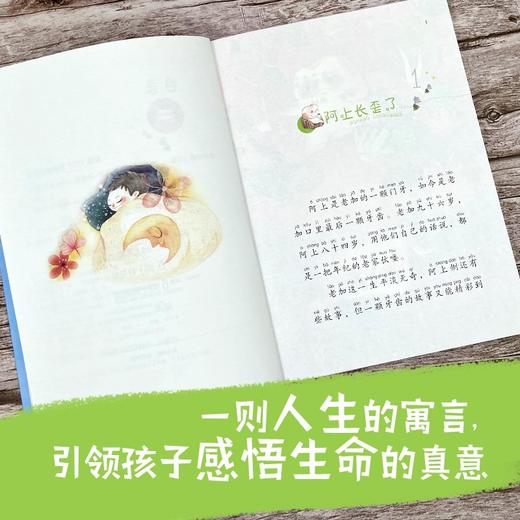 (仓发) 门牙阿上小传（拼音版）/接力出版社/汤汤/9787544871594 商品图2
