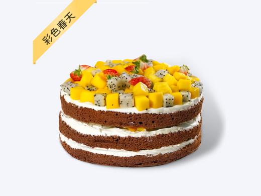 彩色春天 商品图0