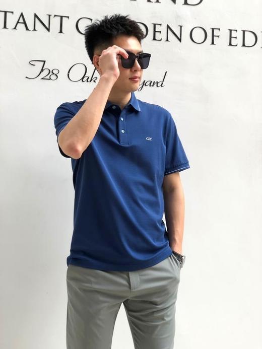 金利来休闲男装百搭纯色翻领短T 商品图0