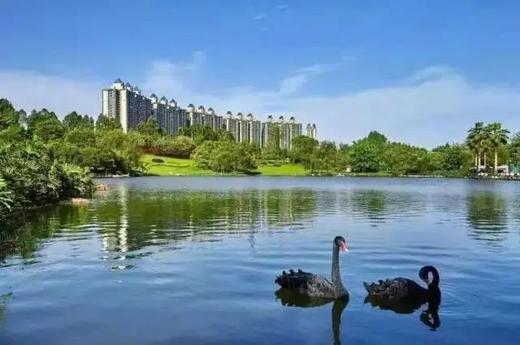 国庆中秋限定❗️【金堂恒大酒店·国庆中秋不加价】2天1夜全家出游吃住玩～ 商品图8