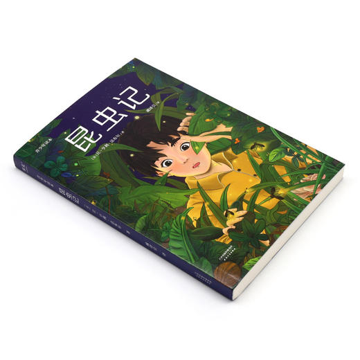 昆虫记(青少年读本) 商品图1