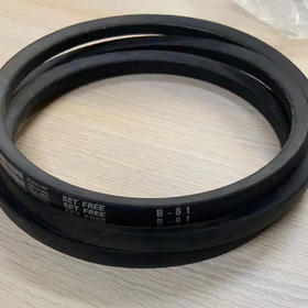 皮带B81