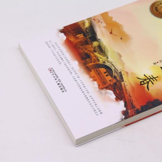 乌镇之春/美丽中国 商品图2