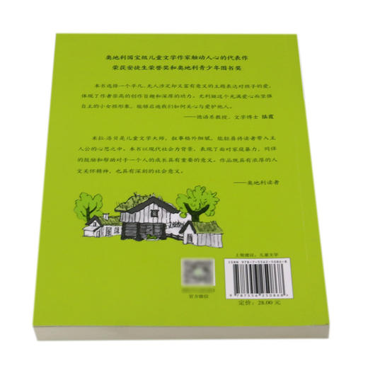 小可怜虫海因里希/国际获奖作品系列/全球儿童文学典藏书系 商品图3