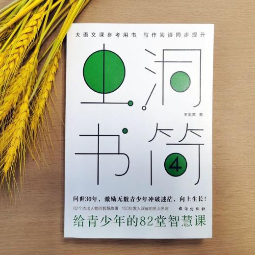 虫洞书简(4给青少年的82堂智慧课) 商品图2