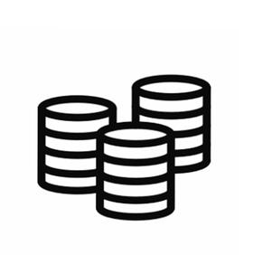 永生花材 ｜ 文竹烟熏紫