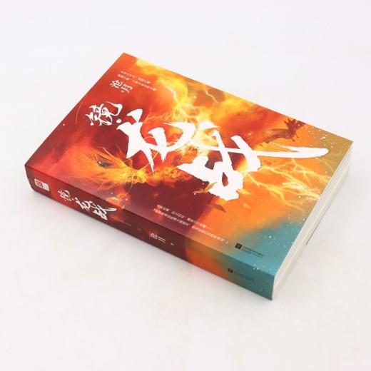 镜龙战(上下) 商品图1