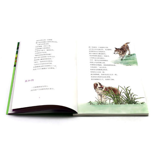 拉封丹寓言(全彩插图版) 商品图4