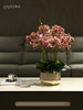 蝴蝶兰仿真花轻奢高档兰花手感保湿假花盆景客厅大堂酒店装饰摆件 商品缩略图3