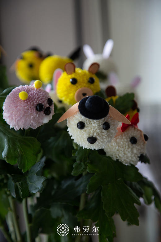 儿童节卡通乒乓菊 商品图2