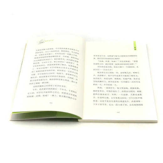 圆梦音乐家/国际获奖作品系列/全球儿童文学典藏书系 商品图4