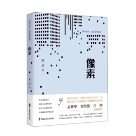 像素(北京追梦故事)(精)/陈武文集