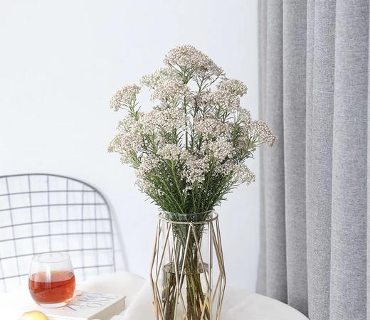 【米花】 白色 约8-10枝/扎 商品图2