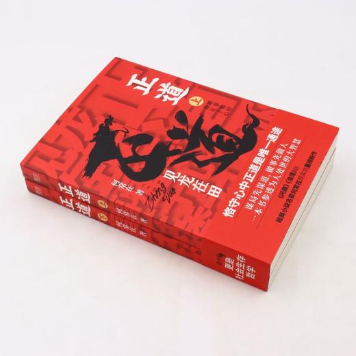 正道(见龙在田上下) 商品图1