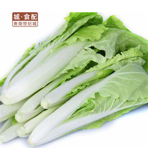 【GYZYDR】小白菜500g以上 商品图0