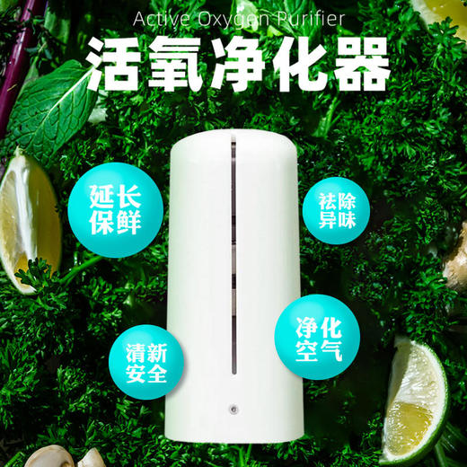 【你家的冰箱干净么？！】专利活氧净化器、除味、保鲜，冰箱、橱柜、车载通用 商品图0
