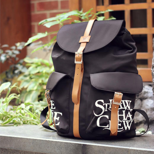 银座X航海王联名款背包H015 商品图3