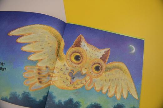 (仓发) 嗨！你的家在哪里？（魔法象·图画书王国）/广西师范大学出版社/林柏廷/9787559835215 商品图5