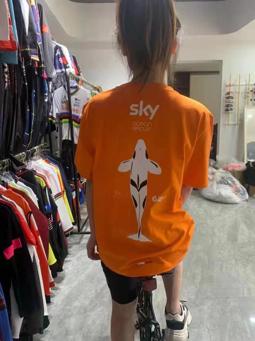 Sky 纯棉休闲运动短袖 商品图8