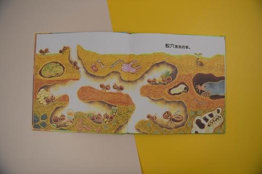 (仓发) 嗨！你的家在哪里？（魔法象·图画书王国）/广西师范大学出版社/林柏廷/9787559835215 商品图3