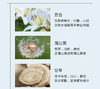 【桃红梨白】羽心堂雪梨蒲菊清润120g(15g*8 罐)/盒 商品缩略图6
