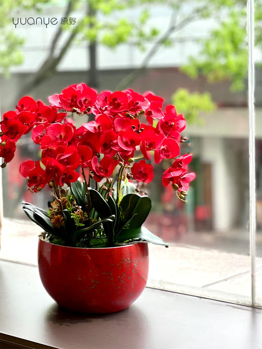 蝴蝶兰仿真花大型高档兰花手感保湿假花盆景客厅大堂酒店装饰摆件 商品图4