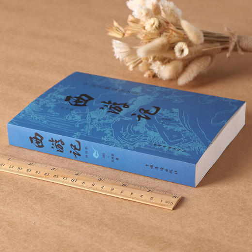 中国古典文学名著 四大名著经典阅读原著正版 青少年课外阅读书 商品图4