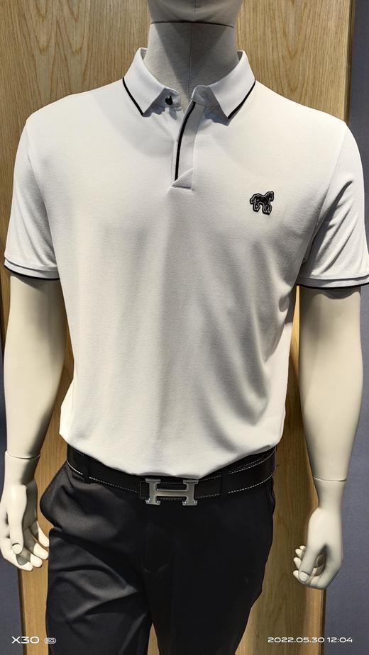 度文男装白色休闲男士翻领短T 商品图0