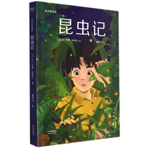 昆虫记(青少年读本) 商品图0