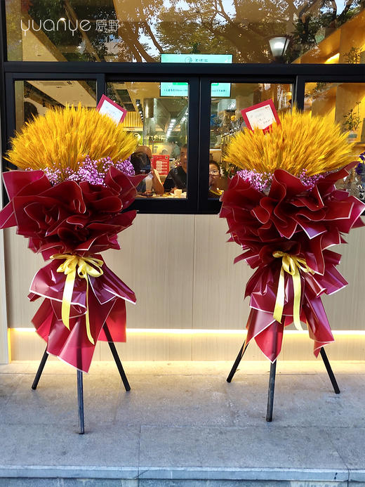 开业花篮大麦（大卖）（单个价格） 商品图0