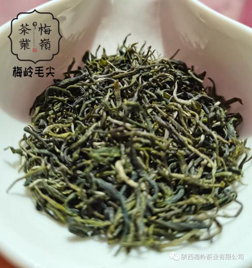 梅岭·汉中毛尖（雨前茶、特级）3g*30/盒 商品图3