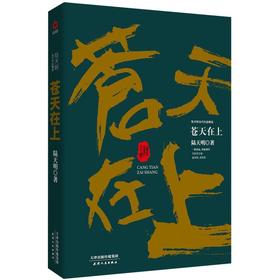 苍天在上(陆天明当代作品精选)